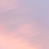 sasanohappa245