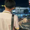 clark_jaze