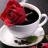 user640035614714