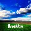 broshkin_ve