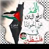 sherifelmahdy83