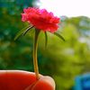 amnabutt8682
