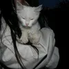 kkwwss_