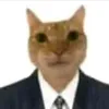 loun3ss