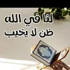 zakaria67846