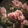 chloe__.15
