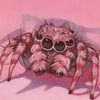 charitysjumpingspiders