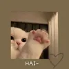 .mashams_