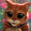 user3941500_