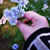 dyqi3ifvza68