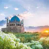 sayedmohammad890