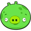 shikshikch