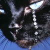 lucifer.3579
