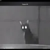 socrateetz