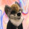 stoney.husky
