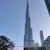 ashrafmohamed4857