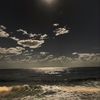 leila_a256