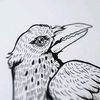 boringmagpie