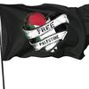 palestinainvb3