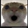 mdlfrmokc