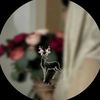 alzain_alrahawi