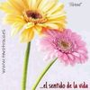 sarahi111073