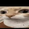 revaldorafael5