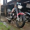 aiptasik