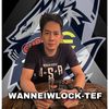 wandeisel