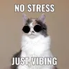 vibing_520