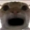 thanhdubai075