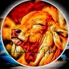 Animals Lover Rifat