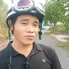 hoa_ty_478