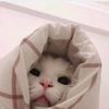 tuilatiennu_queeen