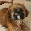 lounettelouna