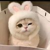 nurjanah_2674