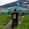 arfantilana.1