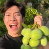 Thảo Thiệt Tình