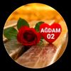 yegane91