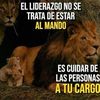 robertogomezgonza7