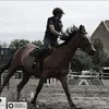 equestrianklara_