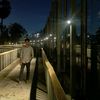 mrnadim001