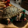 turtle0100