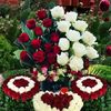 user7798916553893