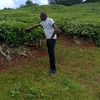 normanmwangi985