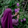 _farihasathi26
