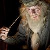 prof.dumbledore18