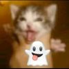 srmouse3