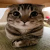 tt.tycmka