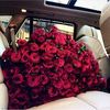 monamorshedi4
